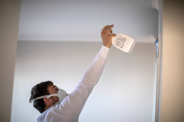 Best White Mold Remediation in Valdosta, GA