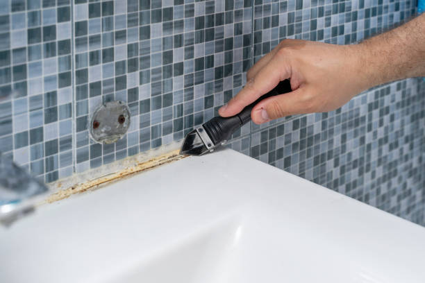 Best Residential Mold Remediation in Valdosta, GA