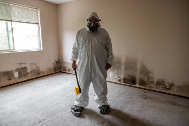 Best Residential Mold Remediation in Valdosta, GA